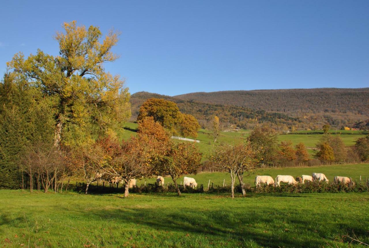 مبيت وإفطار Cuisiat Terres De La Grange المظهر الخارجي الصورة